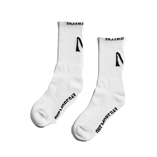 Training Club Socks